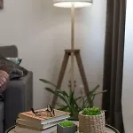 Lara *