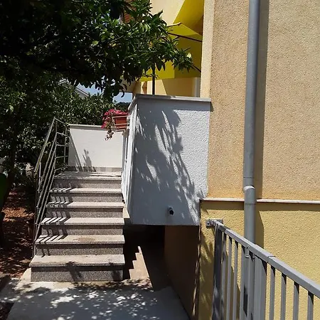Lara Τρογκίρ